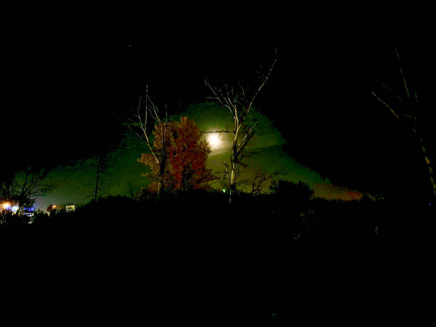 Night landscape with a full moon and trees in the foreground. Long exposure.