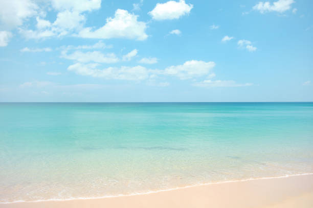 Beautiful empty tropical beach and sea landscape during a sunny day .