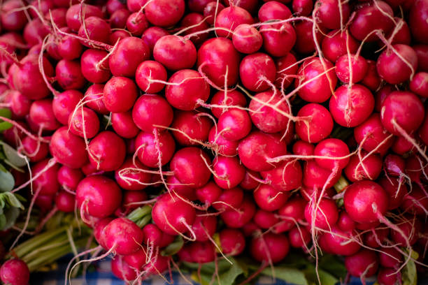 istock Fresh raw red radish  at the bazaar 2181513860
