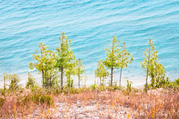 Sandy shore of Lake Michigan at Saugatuck Dunes State Park in Allegan County, Michigan. Distant people and moored boat.