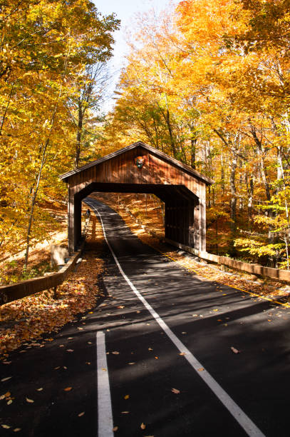 istock Road with covered bridge through trees in autumn 2181517303