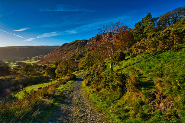 istock Small footpath descending into valley on sunny blue sky day, Powys, Wales, Britain 2181519678
