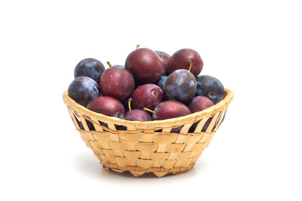 Damson plums in an antique tin cup. Low key.