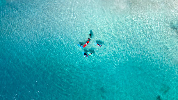 istock Aerial View of Tourists Paddleboarding 2181520516