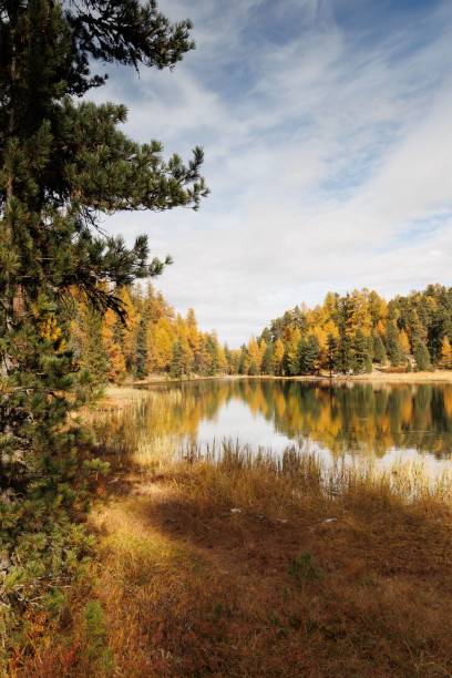 istock Autumn forest with colorful leaves and lake 2181522607