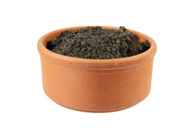 Clay flower pots