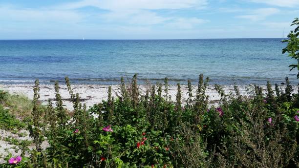istock Tranquil beach with clear blue waters and lush greenery. 2181533320