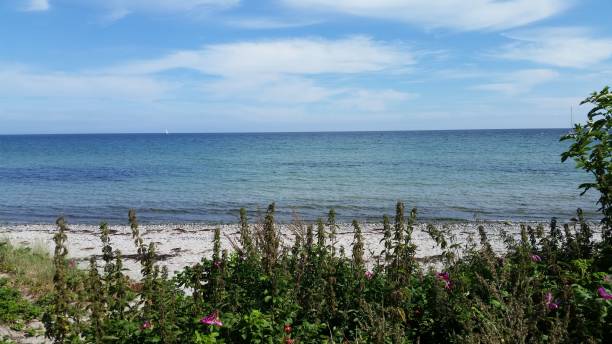 istock Scenic beach view with clear blue water and sky. 2181533339