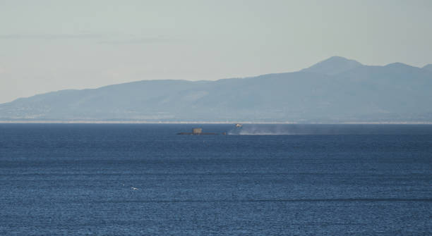 Unusual sight at sea