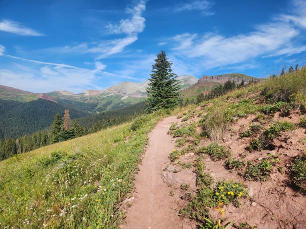istock Rocky Mountain National Park, Nature Trail 2181536579