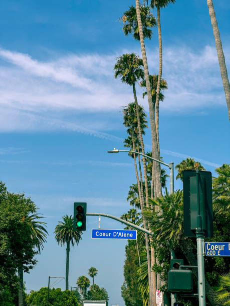 Street view in Venice Beach, CA