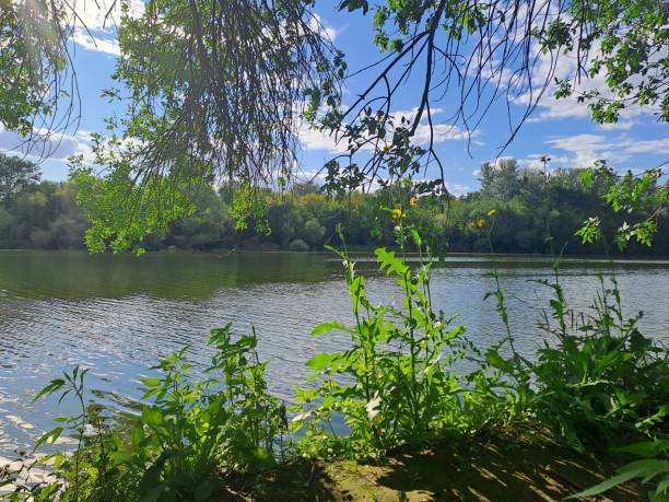 istock view of the river from the bank cloudy sky trees 2181537151