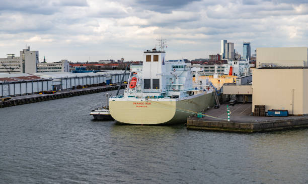 Rotterdam, Netherlands - April 1, 2024: The cargo ship Orange Sun from Monrovia is moored at a Rotterdam port, emphasizing the citys significant role in global logistics.