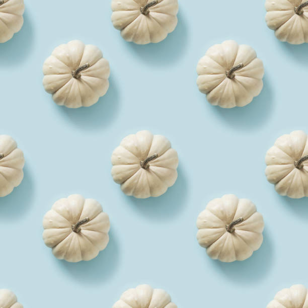istock Seamless pattern of autumn white pumpkin on blue. Thanksgiving Day. 2181537442