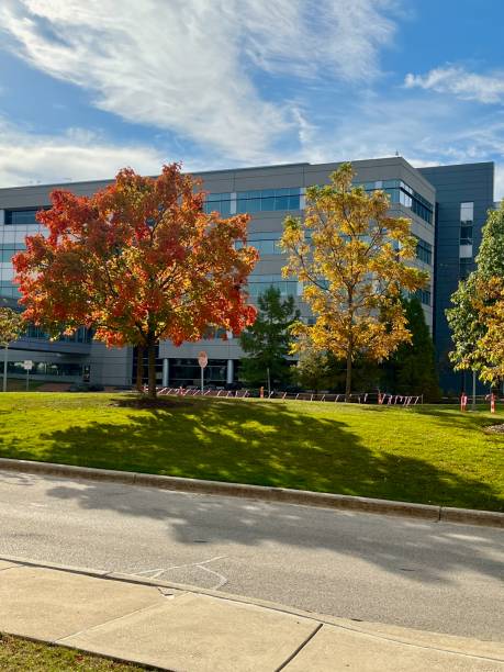 istock Fiery autumn tree leaves in the city 2181541269
