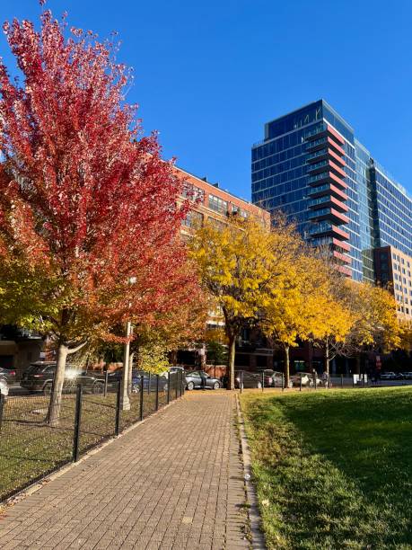 istock Beautiful autumn trees in the park 2181541300