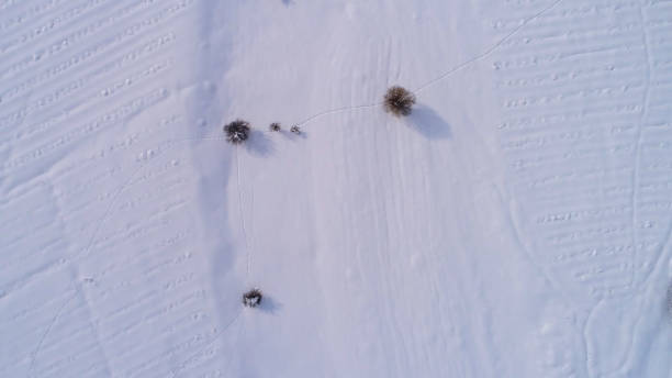 istock Snowy scenery,Winter,Xinjiang,China,Asia. 2181541462