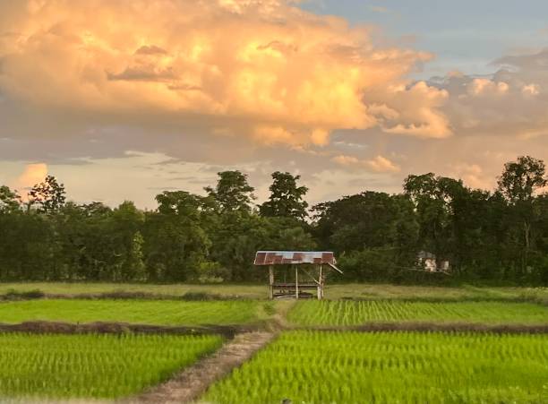 Thailand - landscape from the train window, between Chiang Mai and Bangkok