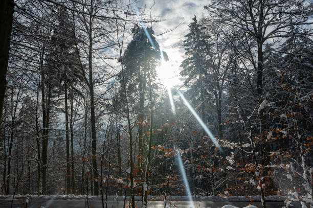 winter in the Karkonosze (Krkonoše, Giant Mountains) mountains