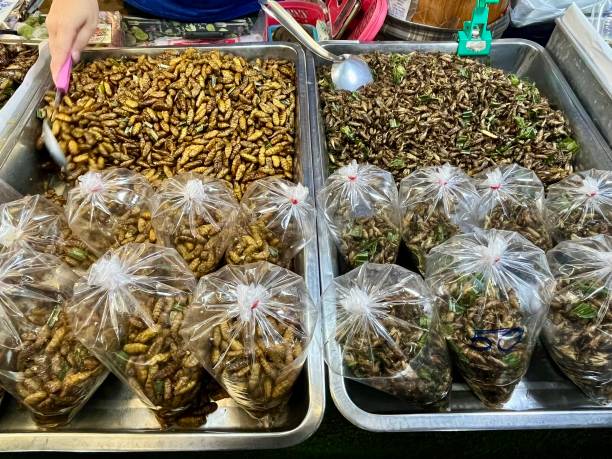Thailand - Market - insects and various fresh or fried worms sold in markets northern Thailand Thailand - Market - insects and various fresh or fried worms sold in markets northern Thailand fried insects for snack thai food at market stock pictures, royalty-free photos & images