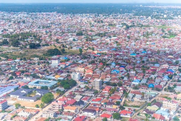 istock The Zanzibar coastline from the Air 2181550016