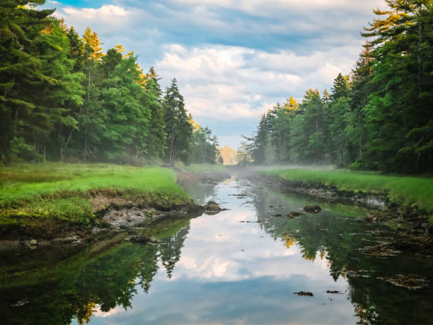 istock Mount Desert Narrows Fog and Reflection on Water 2181552797
