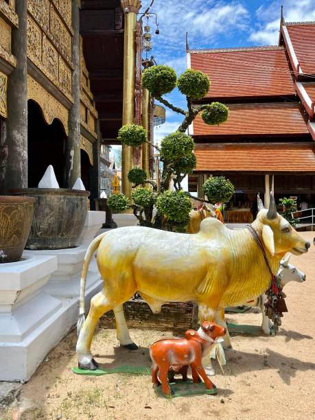 Thailand - Lampang - Pratart Lampang Luang Temple. It is a Lanna-style Buddhist temple in Lampang in Lampang Province, Thailand