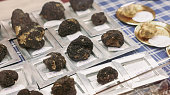 das-alba-truffle-festival-pr%C3%A4sentiert-im-herbst-exquisite-tr%C3%BCffel-im-pulsierenden-italien.jpg?b=1&s=170x170&k=20&c=8XZ4HT2LqEoFzgg4MNXcZo2i1TL8nbo9fQE8EzlHz8g=