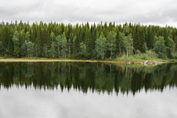 Moody lake in North Norway