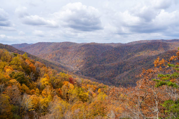 istock The Blue Ridge Mountains Seen From the Crab Tree Falls Hike During Autumn With Fall Colors 2181562636
