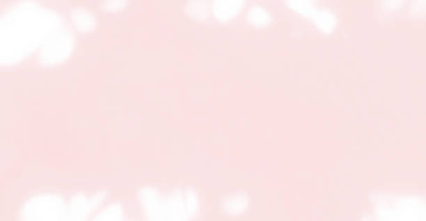 istock Pink soft light wall with shadow of leaves overlay effect. 2181566433