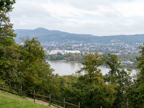 istock beautiful forest bordered by a green field, top view of the river 2181568252