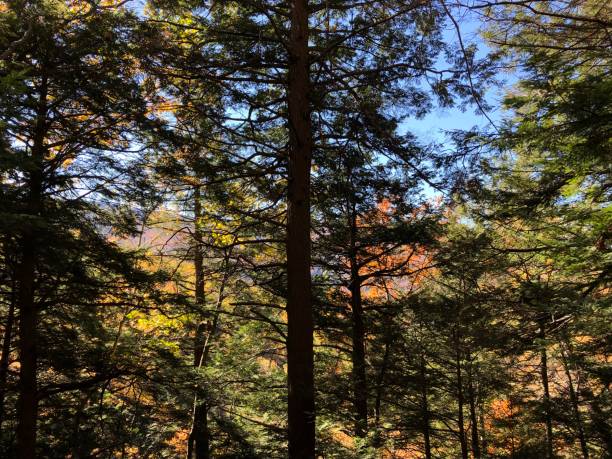 istock Catskills Mountains near Kaaterskill Falls in October in New York State. 2181568383