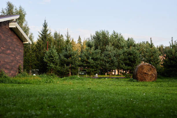 Background image of green grass in yard at cozy countryside with hay roll copy space