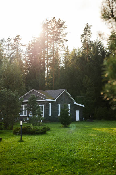 Vertical background shot of rustic house hiding in forest meadow with sunlight lens flare copy space