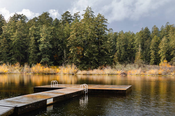 Tranquil scene at Prior Lake, located on southern Vancouver Island on an Autumn day.