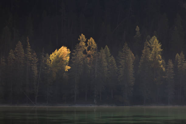 istock Lago di Landro. Dolomites, Italy 2181573370