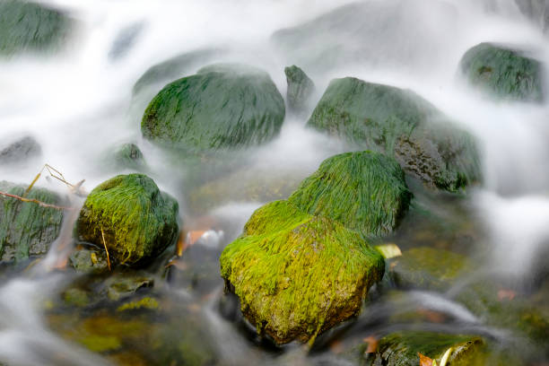 Beautiful waterfall flowing over the sandstone along the west coast of Vancouver Island.