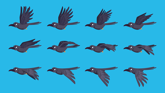 Bird Keyframe Bird Sequence Crow Flying Keyframe Animation Exact Vector Game Assets ...