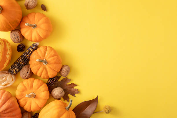 istock Thanksgiving Background with Pumpkins and Autumn Leaves 2181576636