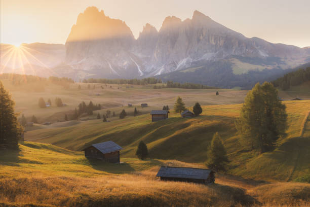 istock Alpe di Siusi. Dolomites, Italy 2181576681