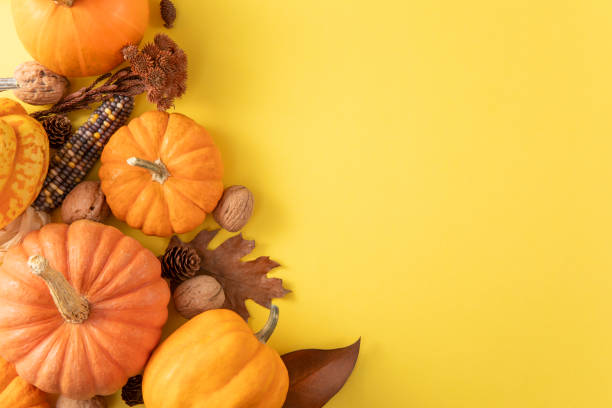 istock Thanksgiving Background with Pumpkins and Autumn Leaves 2181577271