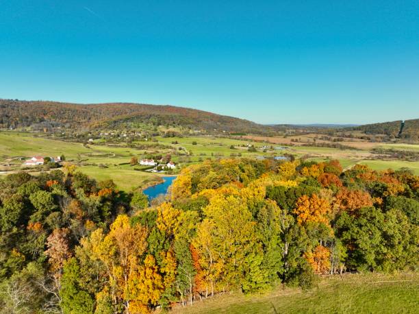 istock Fall Foliage in Northern Virginia 2181578775