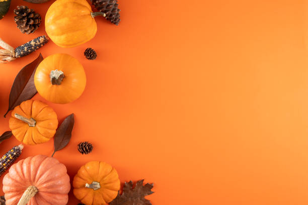 Colorful mini pumpkins and fallen leaves on orange colored backgrounds for Thanksgiving and Autumn