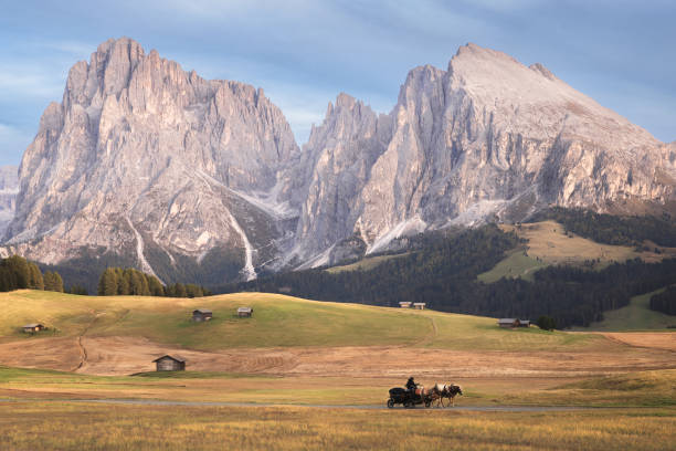 Horse-drawn carriage travels through the scenic pastures of Alpe di Siusi, set against the majestic peaks of the Dolomites in South Tyrol, Italy.