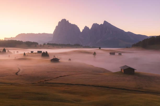 istock Alpe di Siusi. Dolomites, Italy 2181581013