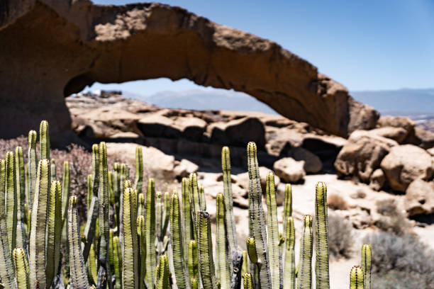 istock A captivating desert landscape featuring unique rock formations, cacti, 2181593159