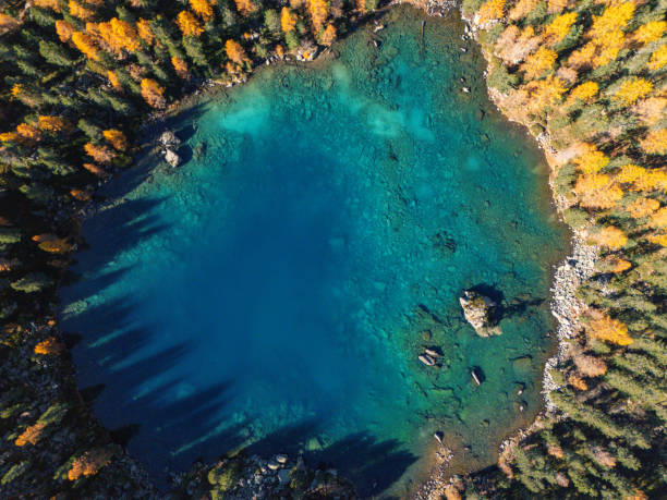 Captivating aerial perspective of a clear blue lake bordered by lush trees with autumn colors. Highlights the beauty of nature's seasonal change from above.