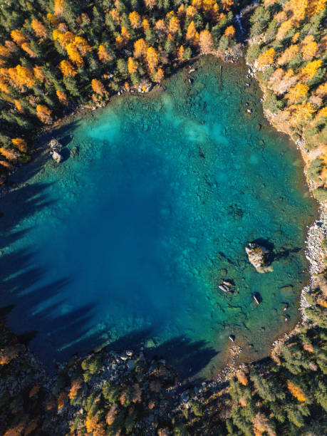 istock Top-Down View of Pristine Blue Lake in Autumnal Forest 2181595811