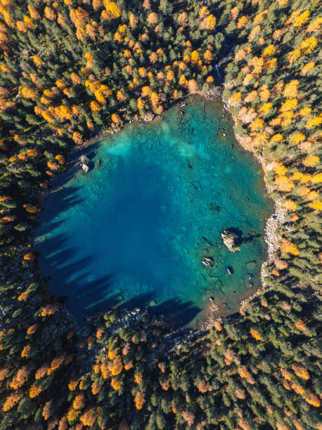 istock Top-Down View of Pristine Blue Lake in Autumnal Forest 2181595816